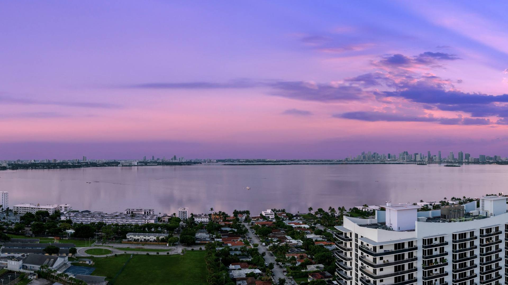 Level 25 · south · pink sky